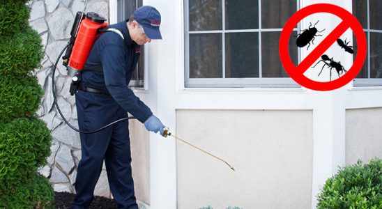 Devrek Kemirgen İlaçlama böcek ilaçlama ve haşere kontrolü — ilaclama-tr.com